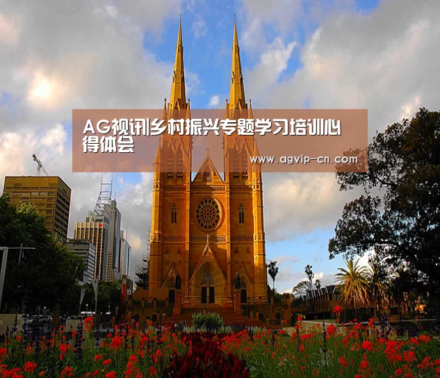 AG视讯|乡村振兴专题学习培训心得体会