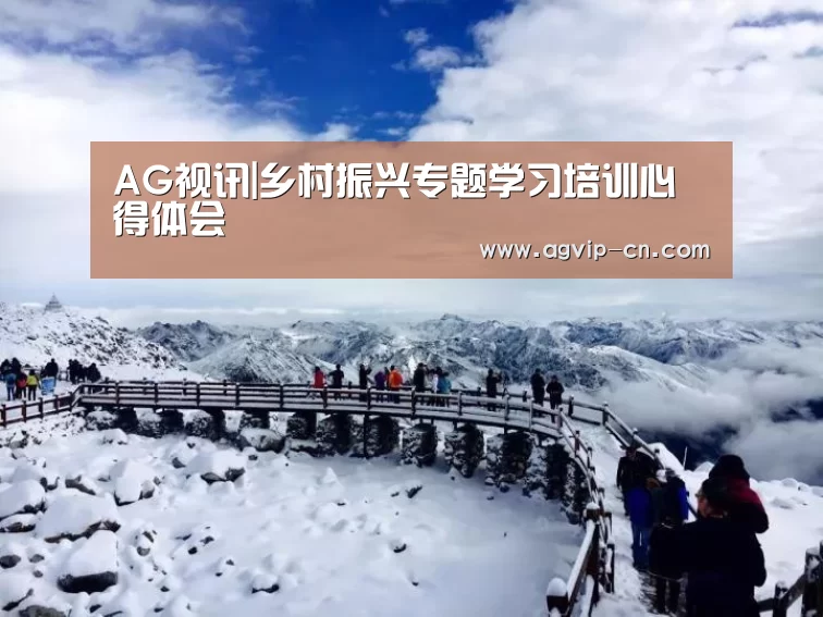 AG百家乐