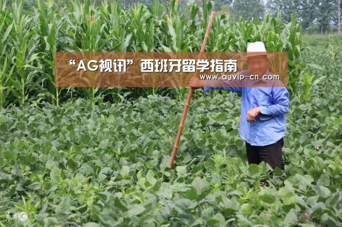 “AG视讯”西班牙留学指南(图2) AG真人